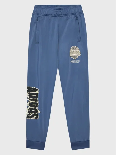 Adidas Pantaloni trening Graphic Track albastru