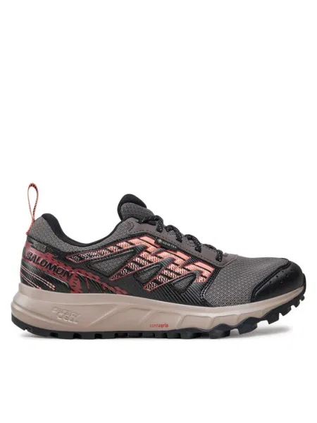Salomon Pantofi pentru alergare Wander Gore-Tex negru