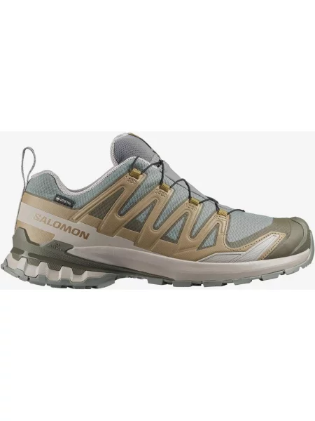 Buty do biegania Salomon XA PRO 3D v9 GORE-TEX szary brązowy 40 beżowy