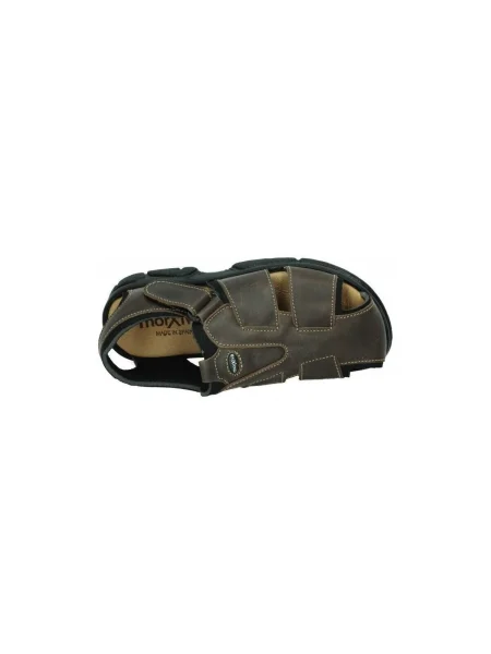 Pantofi Dliro maro