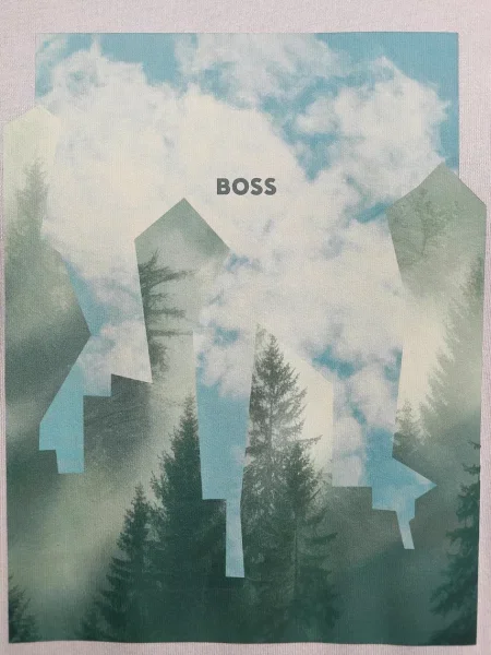 Футболка BOSS Orange Te_Cover помаранчева