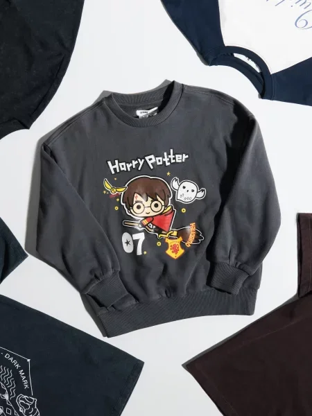 Sinsay Mikina crewneck soft touch s potiskem Harry Potter šedá
