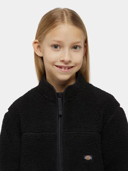 Дитяча Флісова кофта Dickies Mount Hope Fleece чорний