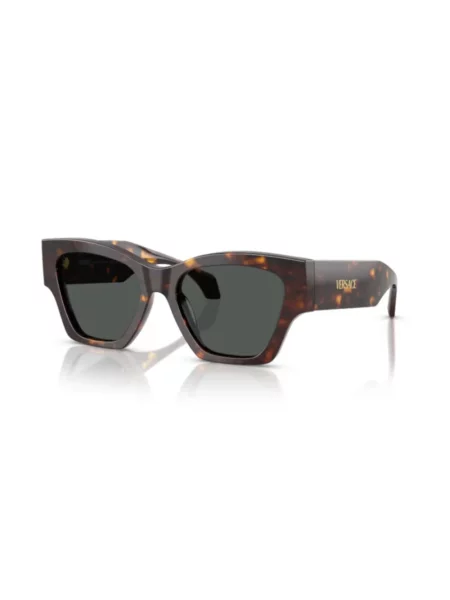 Versace Okulary Przeciwsłoneczne braun brązowe