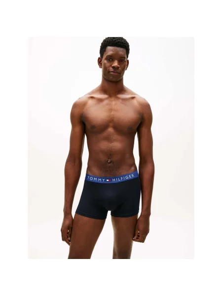 Gaćice Tommy Hilfiger plava
