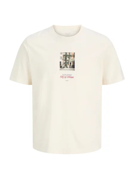 JACK & JONES Tricou JORFREDERIKSBERG verde / roșu alb