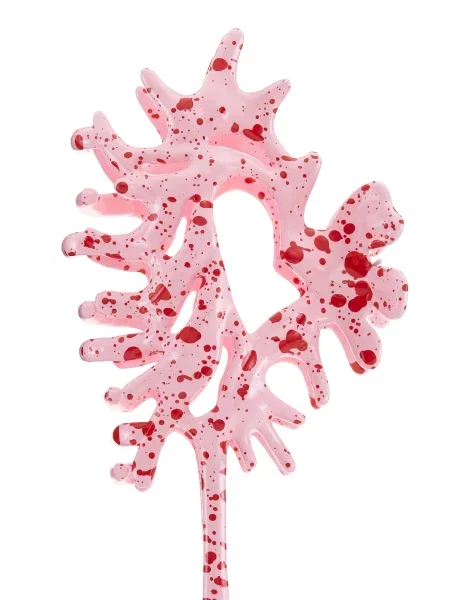 Naramnica kapa Lscn By Lascana