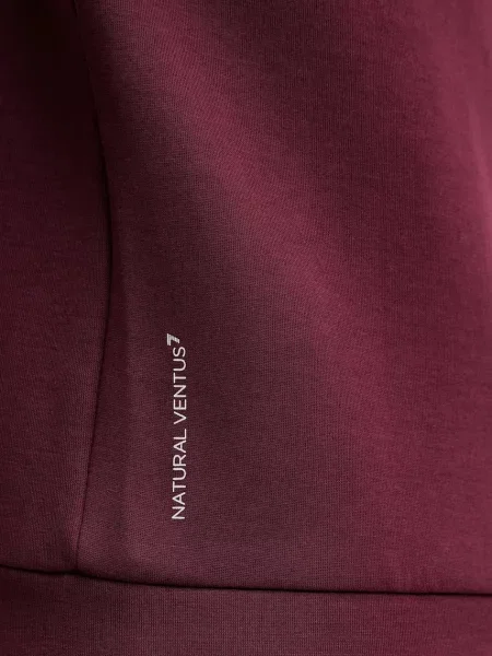 Однотонный свитер Ea7 Emporio Armani с капюшоном бордовый