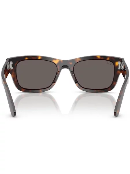 Ray-Ban Slnečné okuliare Hnedá čierna