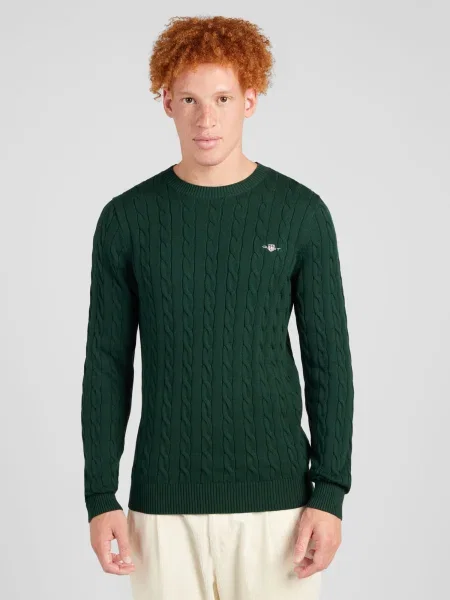 Gant Pulover | Regular Fit verde