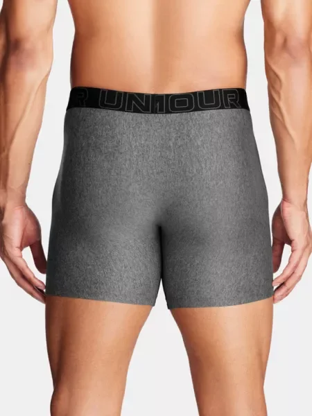 Rövidnadrág Under Armour szürke