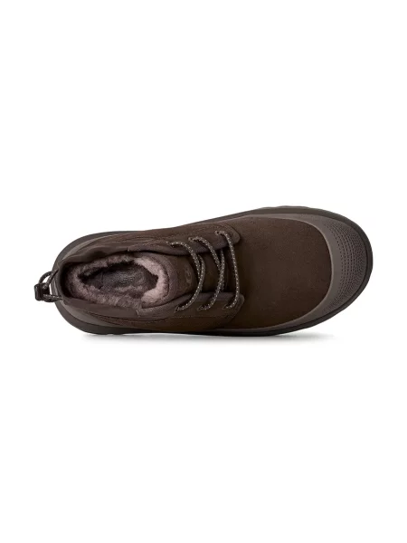 Замшеві чоботи Ugg