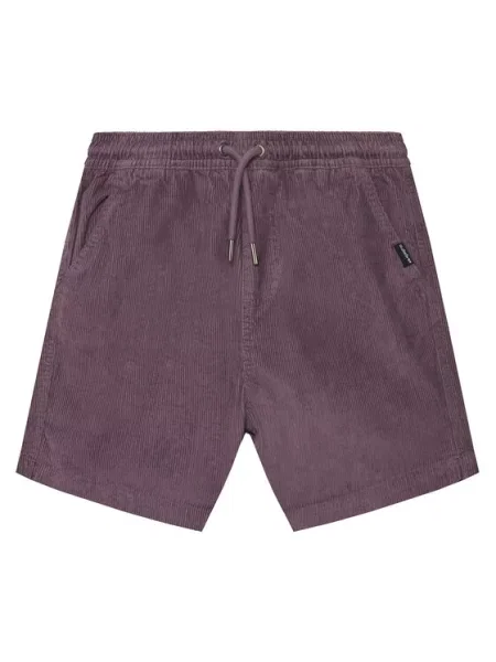Šortky z materiálu Quiksilver fialové