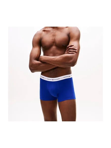 Gaćice Tommy Hilfiger