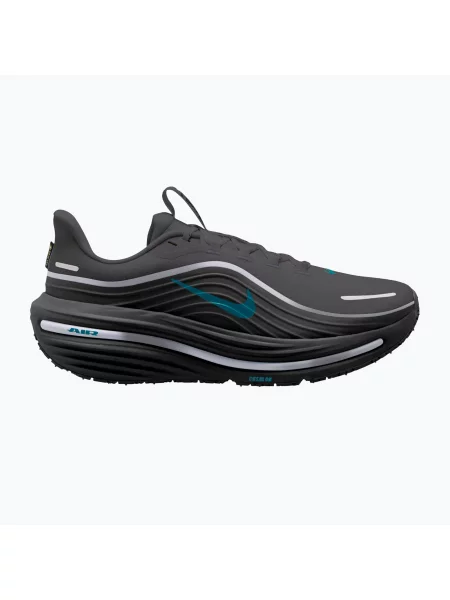 Încălțăminte de alergare pentru bărbați Nike Winflo 12 GORE-TEX anthracite/black/bright spruce negru