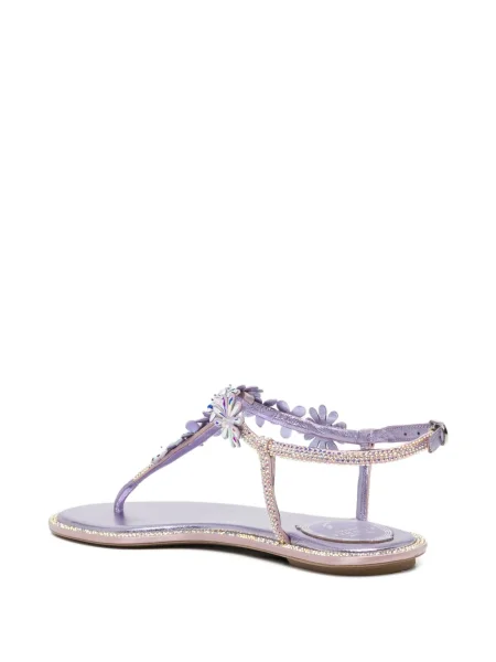 Sandale Rene Caovilla violet