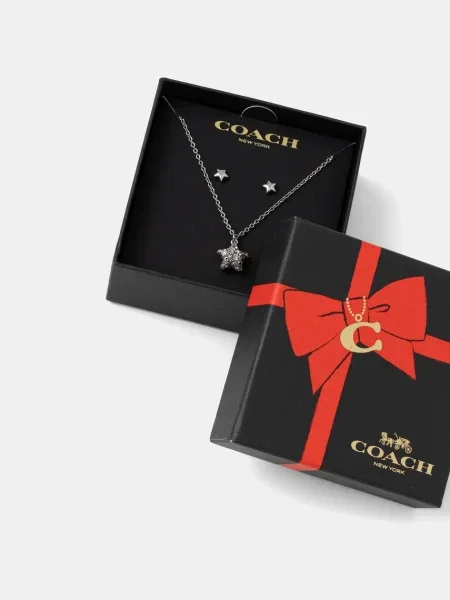 Palton Coach transparente argintiu