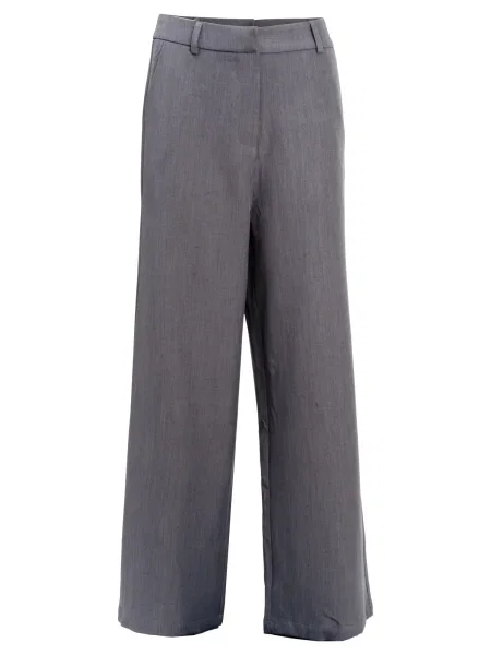 Influencer Pantaloni gri