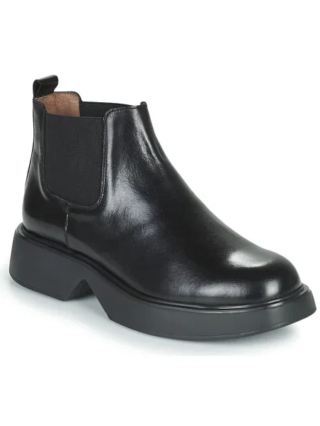 Botine Wonders