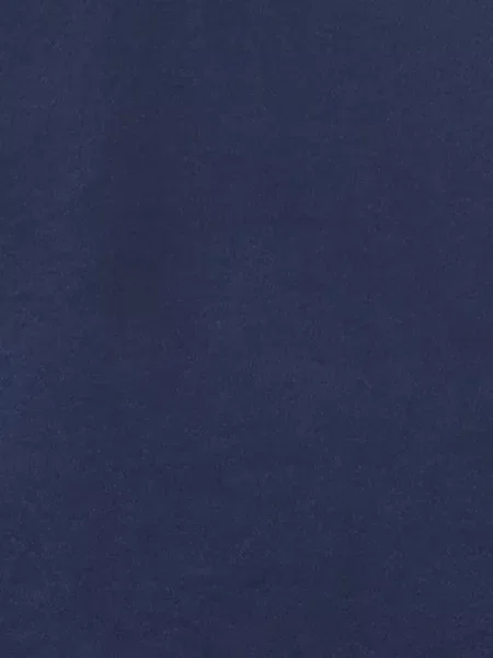 Bluză Sandro de mătase albastru