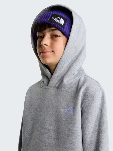 Детское худи The North Face серое