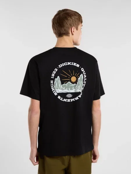 Футболка Dickies черная