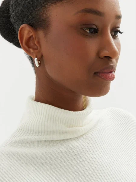 Cercei Aldo argintiu