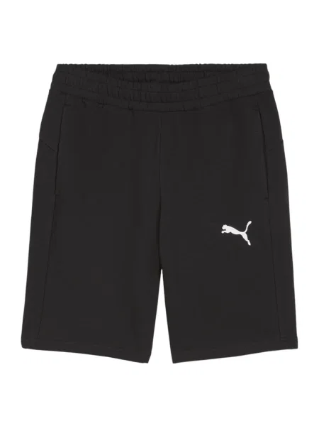 PUMA Športne hlače TeamGOAL črna bela