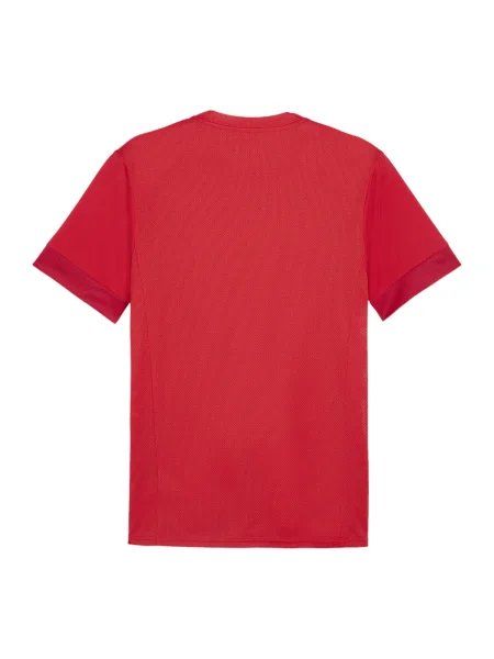 PUMA Tricou funcțional roșu alb