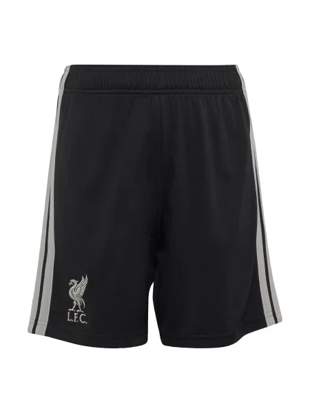 ADIDAS PERFORMANCE Παντελόνι φόρμας FC Liverpool ανοικτό γκρι μαύρο