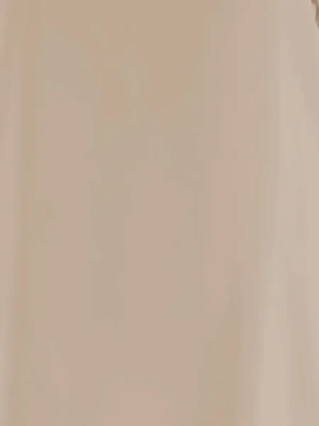 Tricou Allude de mătase cu crăpătură