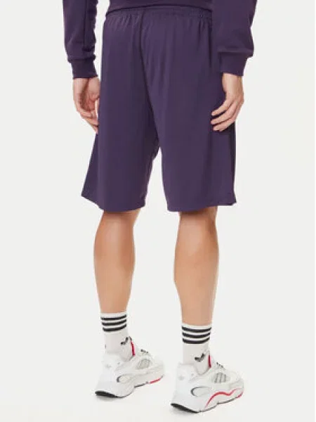 Adidas Športne kratke hlače Graphic Mesh vijolična
