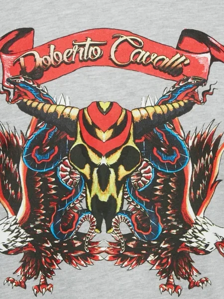 Μπλούζα Roberto Cavalli με σχέδιο από ζέρσεϋ γκρι
