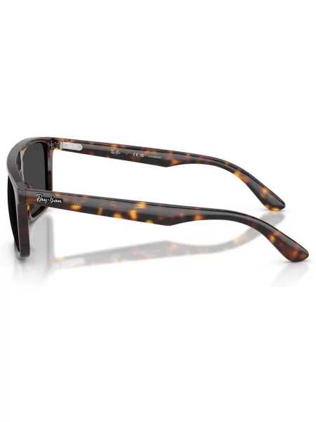Ceas Ray-ban maro