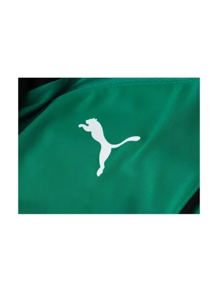 Sportski komplet Puma zelena