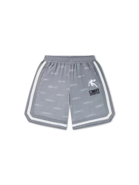 Pantaloni sport / mai multe culori gri