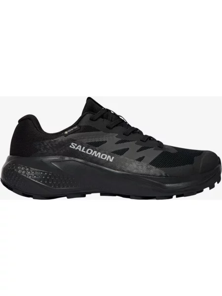 Buty do biegania Salomon Alphaglide GORE-TEX szary 36 czarny