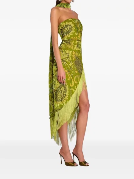 Rochie Retrofete de catifea cu model paisley verde