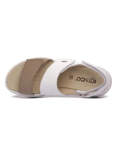 Pantofi Igi&co maro