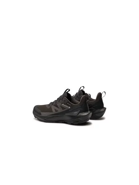 Turistiniai batai Salomon Elixir Activ Gore-Tex pilka