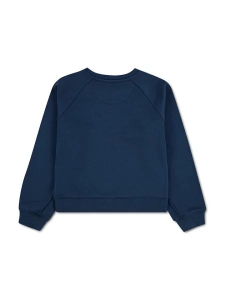 Levi's mikina detská s bavlnou FLORAL BATWING CREW