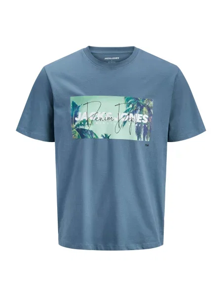 Jack & Jones Plus Majica JJINDIANA marine / pastelno zelena bela