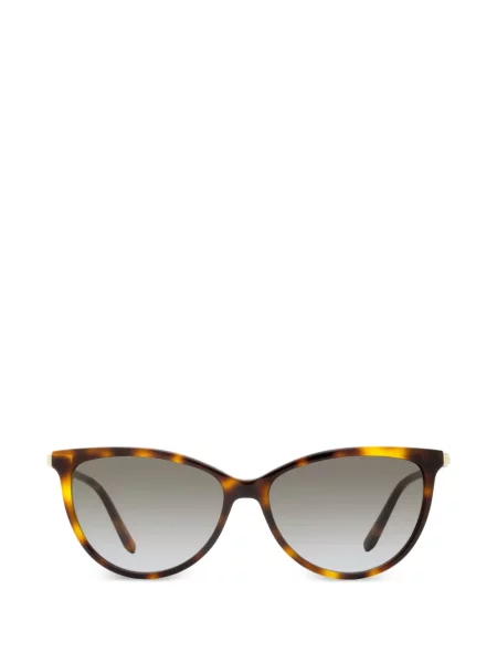 Ochelari de soare Ferragamo Eyewear maro