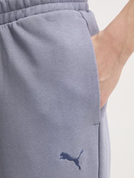 Спортивные штаны Puma