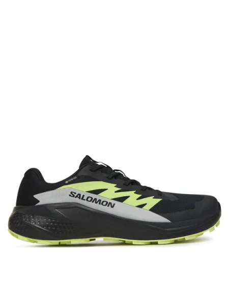 Pantofi pentru alergare Salomon Alphaglide GORE-TEX negru