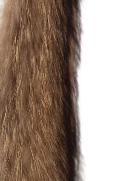 Gulerat fular Sword cu blană maro