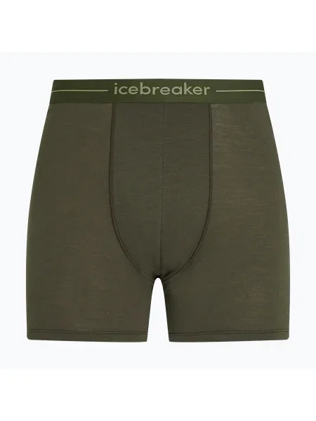 Boxeri termici pentru bărbați icebreaker Anatomica dark loden