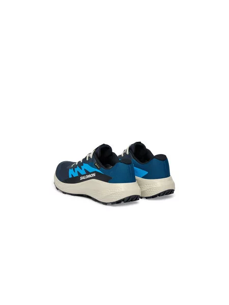 Futócipő Salomon Alphaglide Gtx kék