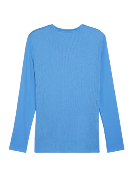PUMA Tricou funcțional TeamGoal albastru / azur alb