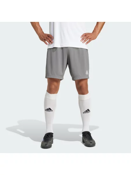 Szorty Adidas szare